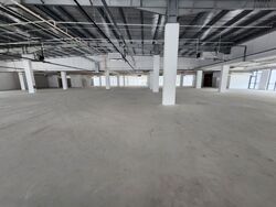 Tai Seng Street (D19), Office #520982841